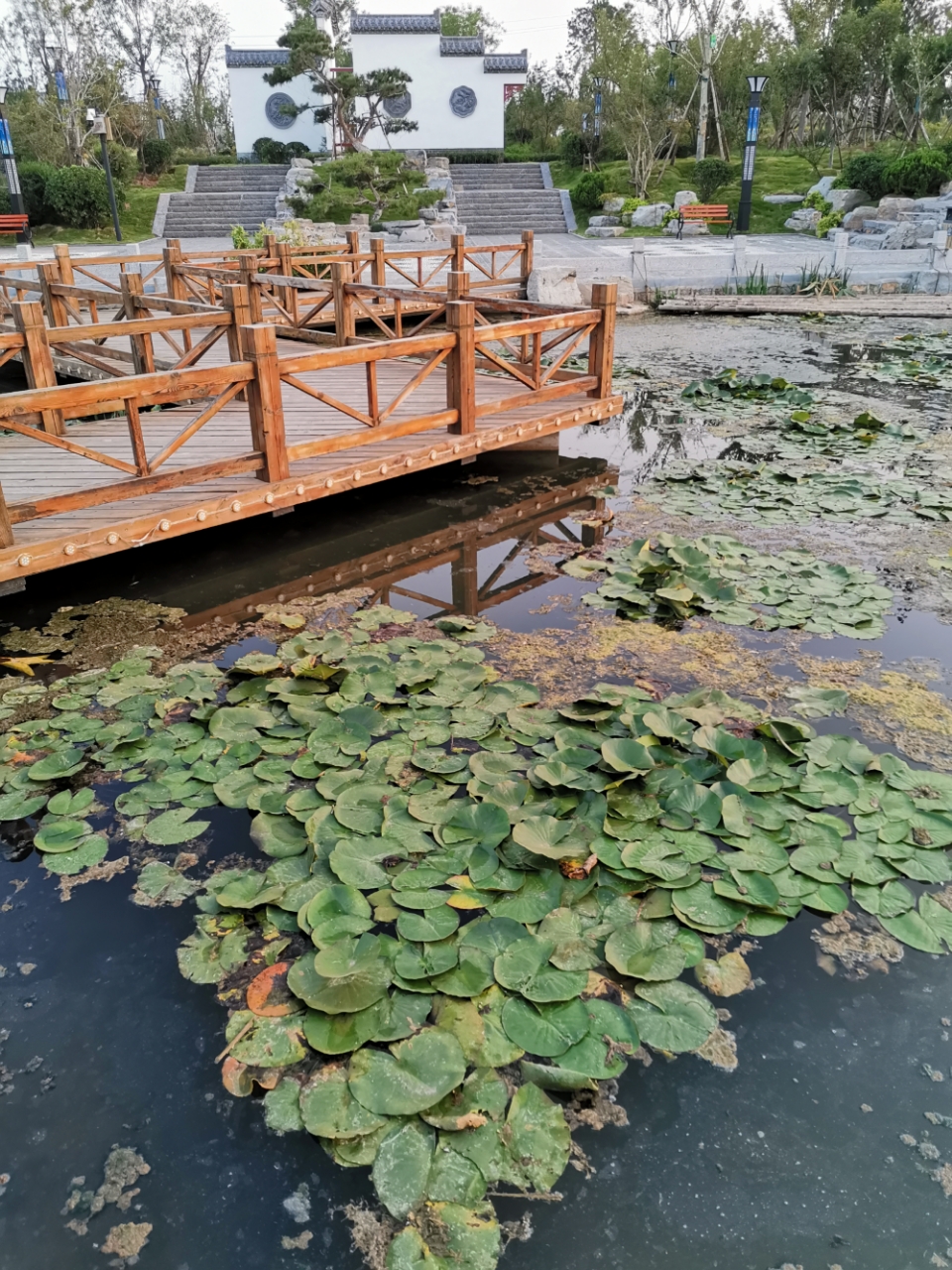章丘玉泉湖公园图片图片